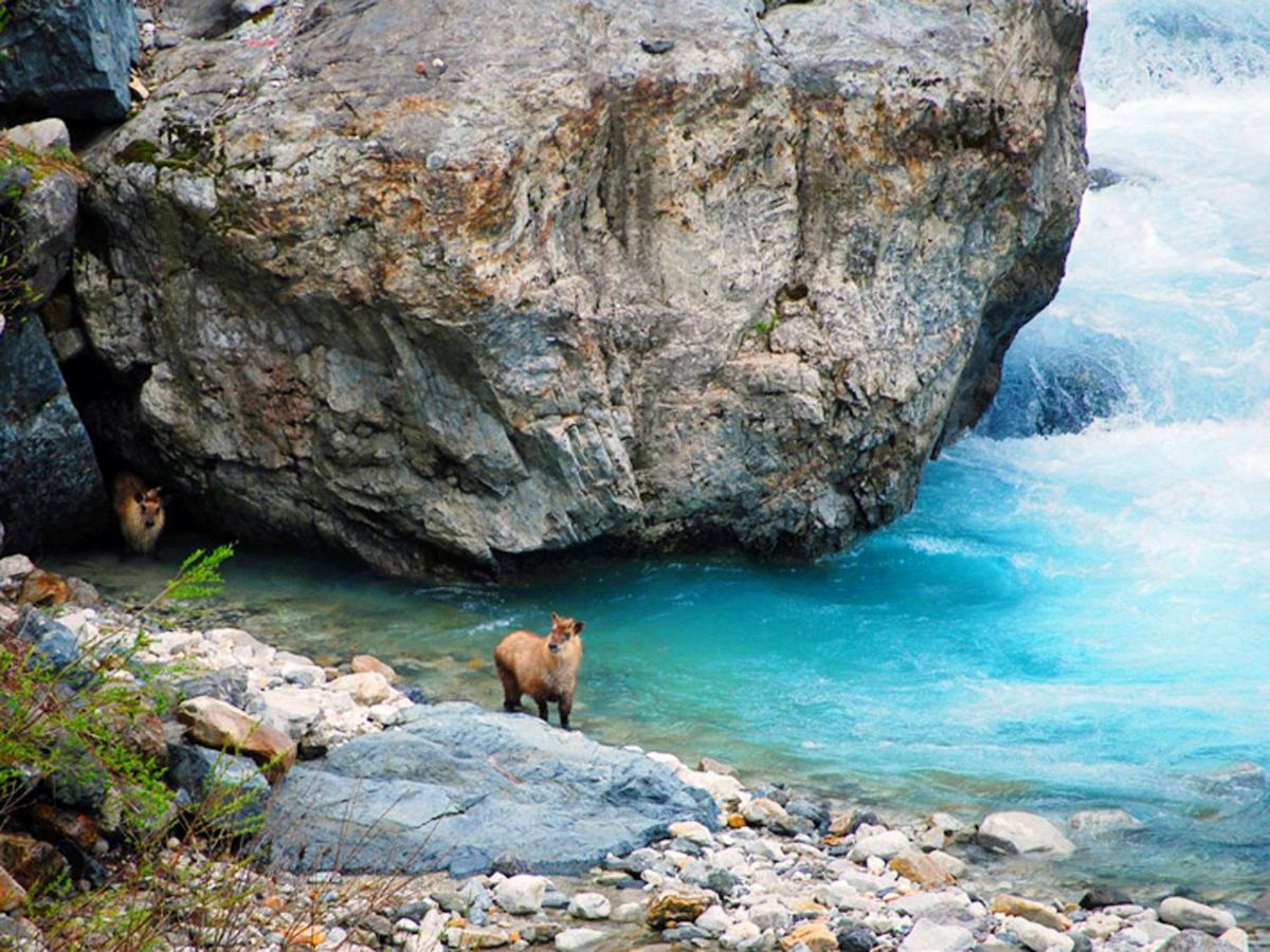 Cottage Yamajyu Χακούμπα Εξωτερικό φωτογραφία